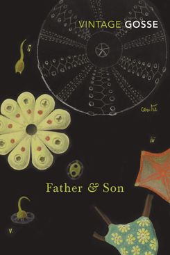 Father and Son, by Edmund Gosse