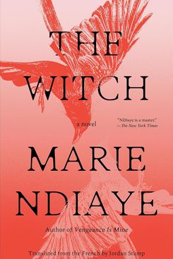 ‘The Witch,’ by Marie Ndiaye