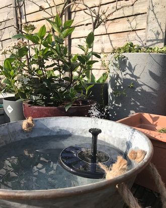 Suntop Mini Solar Fountain Review 2021