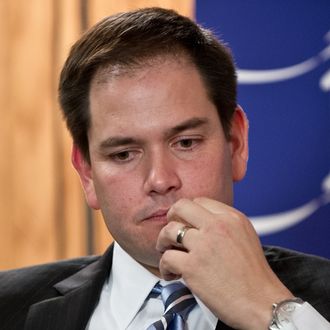 US Republican Senator from Florida Marco Rubio speaks at the BuzzFeed Brews newsmaker event in Washington on February 5, 2013. 