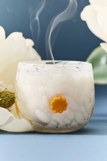 Anthropologie Icon Glass Candle - Sun Drenched Magnolia