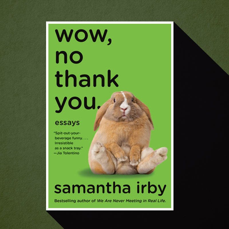 Samantha Irby Reads Wow No Thank You Live On Vulture