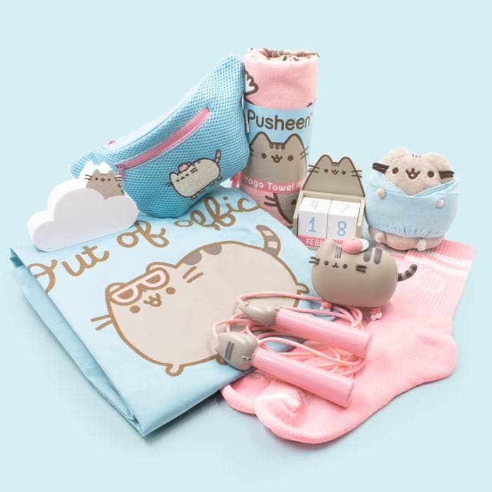 Pusheen Box