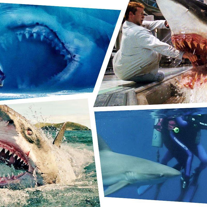The 12 Best Shark Movies Since Jaws, Ranked.