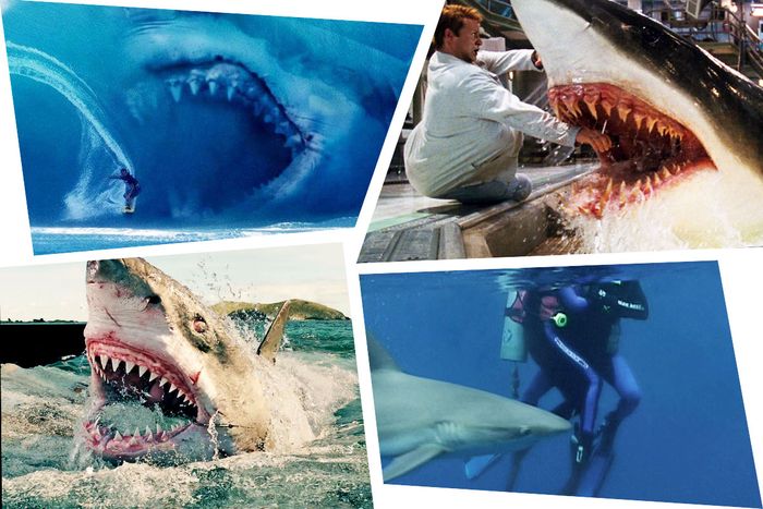 18 Year Old Girl Blue Film - The 12 Best Shark Movies Since Jaws, Ranked.