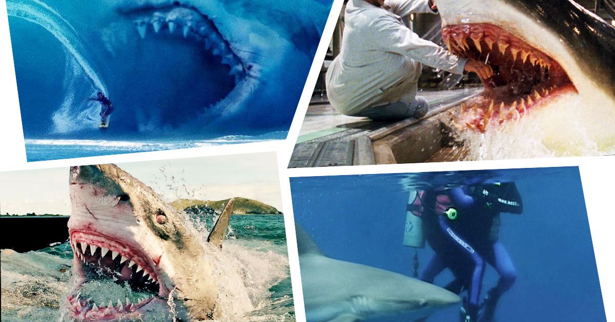 The 12 Best Shark Movies Since Jaws