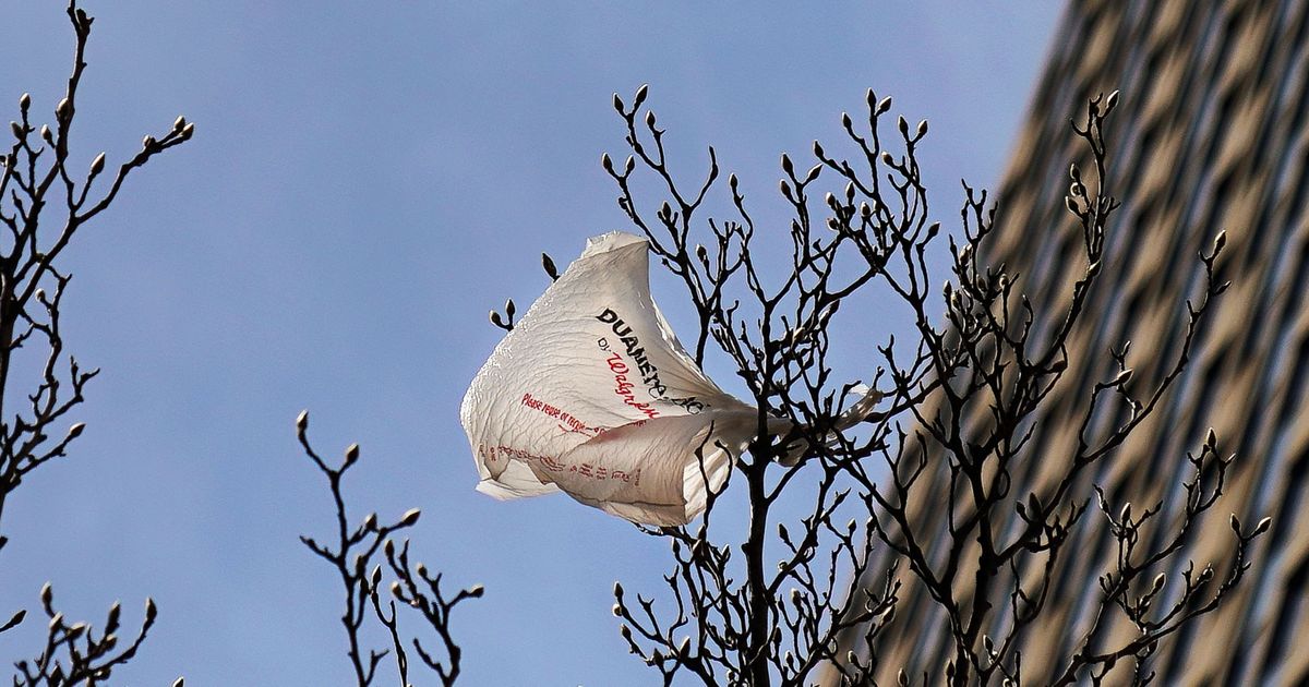 What You Need To Know About New York S Plastic Bag Ban