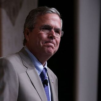 Jeb Bush