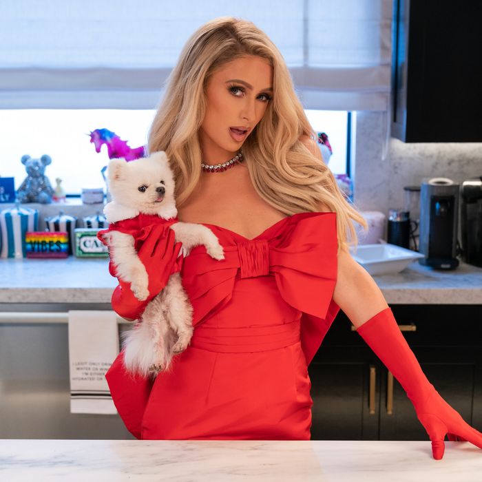 Paris Hilton standing in a kitchen a red cocktail dress holding a tiny fluffy dog.