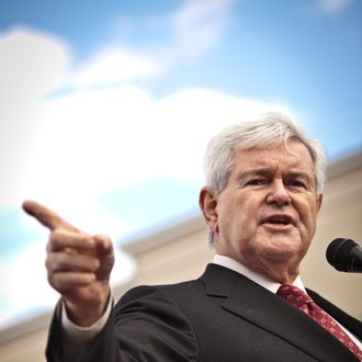 BLUFFTON, SC - NOVEMBER 29: Republican presidential candidate Newt Gingrich speaks at a townhall meeting on November 29, 2011 in Bluffton, South Carolina. Gingrich spoke to supporters about illegal immigration as part of a three-day swing through South Carolina. (Photo by Richard Ellis/Getty Images)