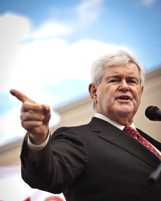 BLUFFTON, SC - NOVEMBER 29: Republican presidential candidate Newt Gingrich speaks at a townhall meeting on November 29, 2011 in Bluffton, South Carolina. Gingrich spoke to supporters about illegal immigration as part of a three-day swing through South Carolina. (Photo by Richard Ellis/Getty Images)