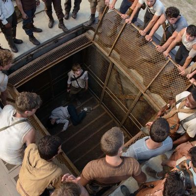 5 Things You Probably Don't Know About 'MAZE RUNNER: THE SCORCH TRIALS' –