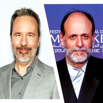 Split photo of Denis Villeneuve and Luca Guadagnino