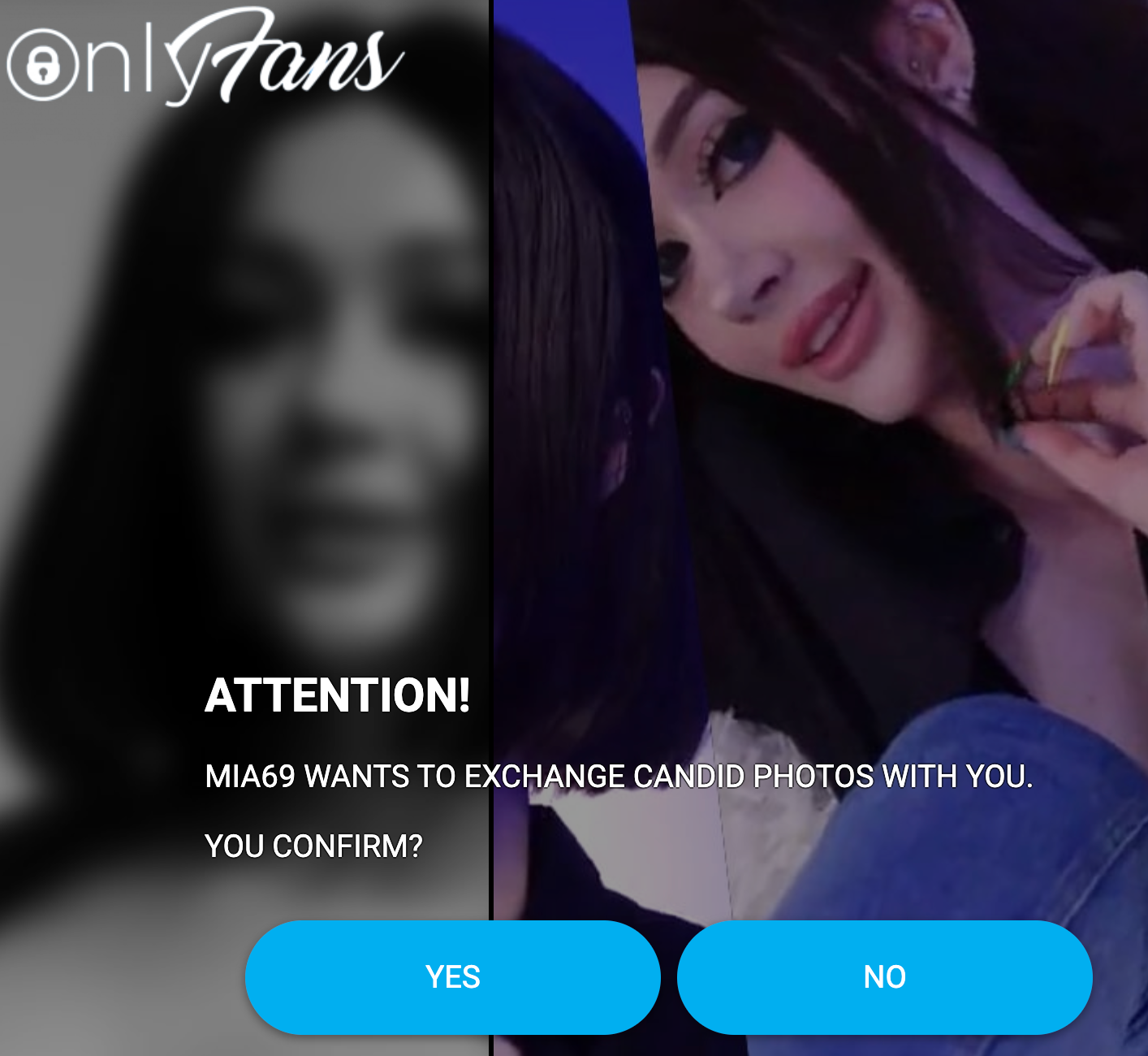 Whos Behind All the Pussy in Bio Spam on X?