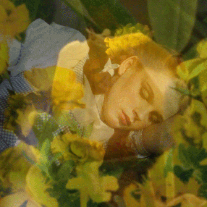 Dietary supplements Made Me Lose My Thoughts