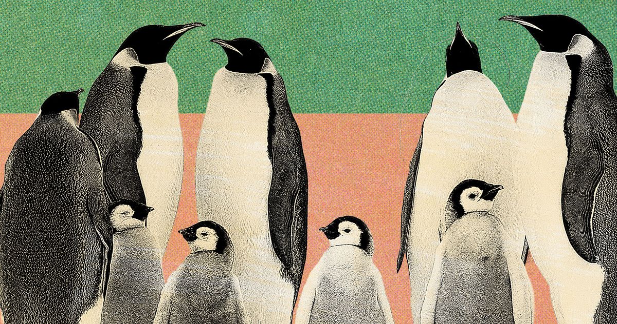 ‘Should You Force Your Kids to Do Extracurriculars?’ and More Reader Questions