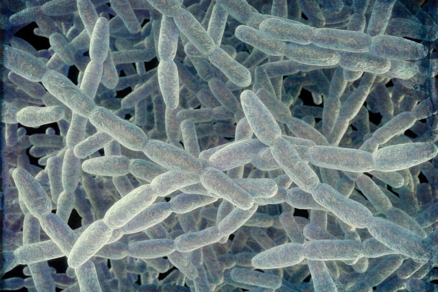 What We Know About the Legionnaires’ Disease Outbreak in New York