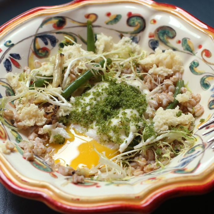 Farro with wax beans, duck egg, and tuma cheese.