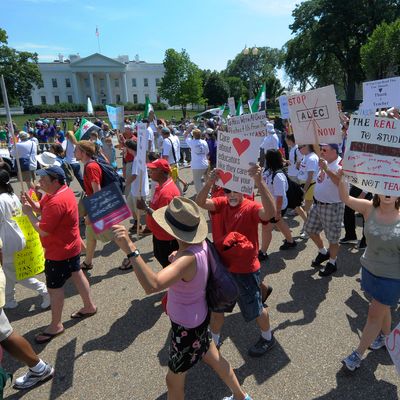 Teachers march past The White House during a 