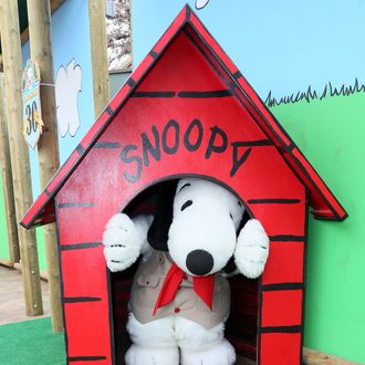 Camp Snoopy’s 30th Anniversary VIP Party