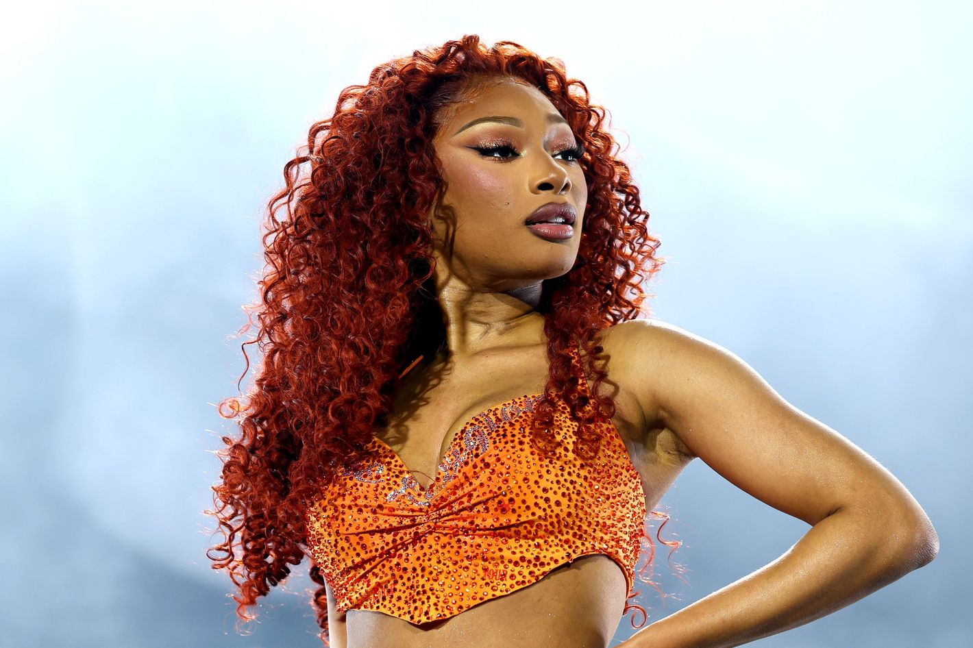 Megan Thee Stallion Wins Defamation Suit Against Blogger