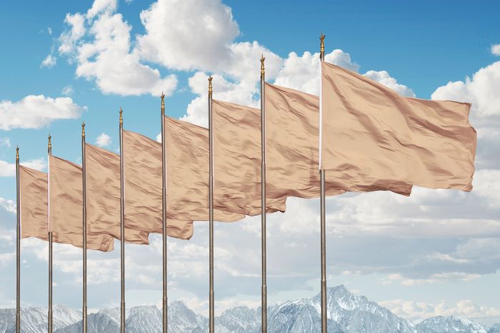 https://pyxis.nymag.com/v1/imgs/fd7/e16/081d24ed8dba969c09d5a10c6878efab28-beige-flags.rhorizontal.w700.jpg