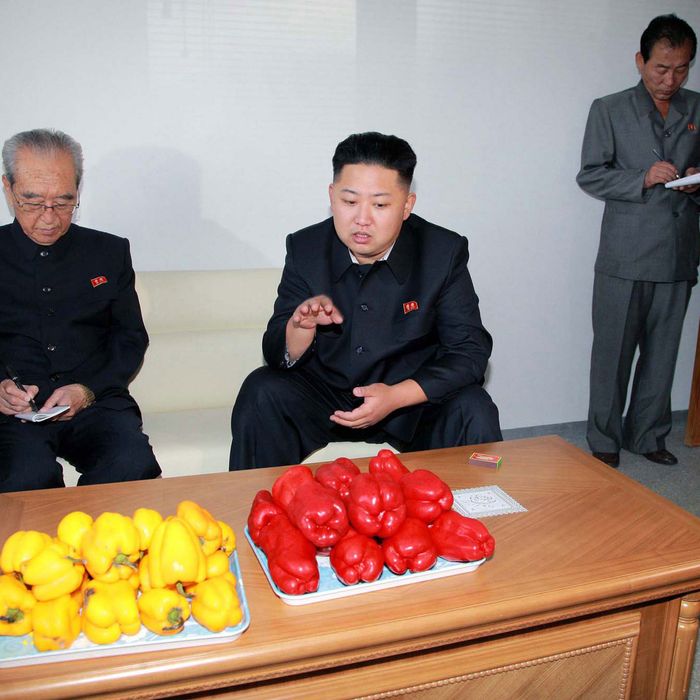 This undated picture released from North Korea's official Korean Central News Agency (KCNA) via the Korean News Service on September 22, 2012 shows North Korean leader Kim Jong Un (C) during a visit to the Pyongyang Vegetable Science Institute in Pyongyang.