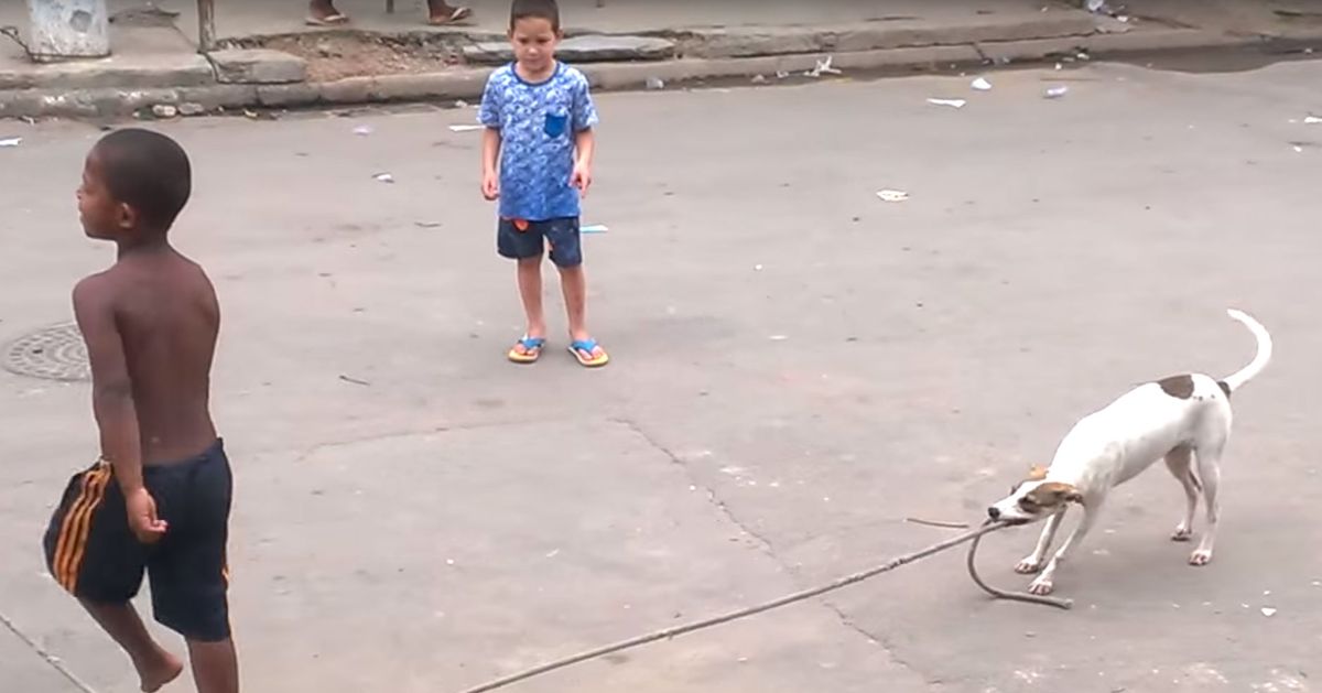 8 Actually Good Things That Happened This Week