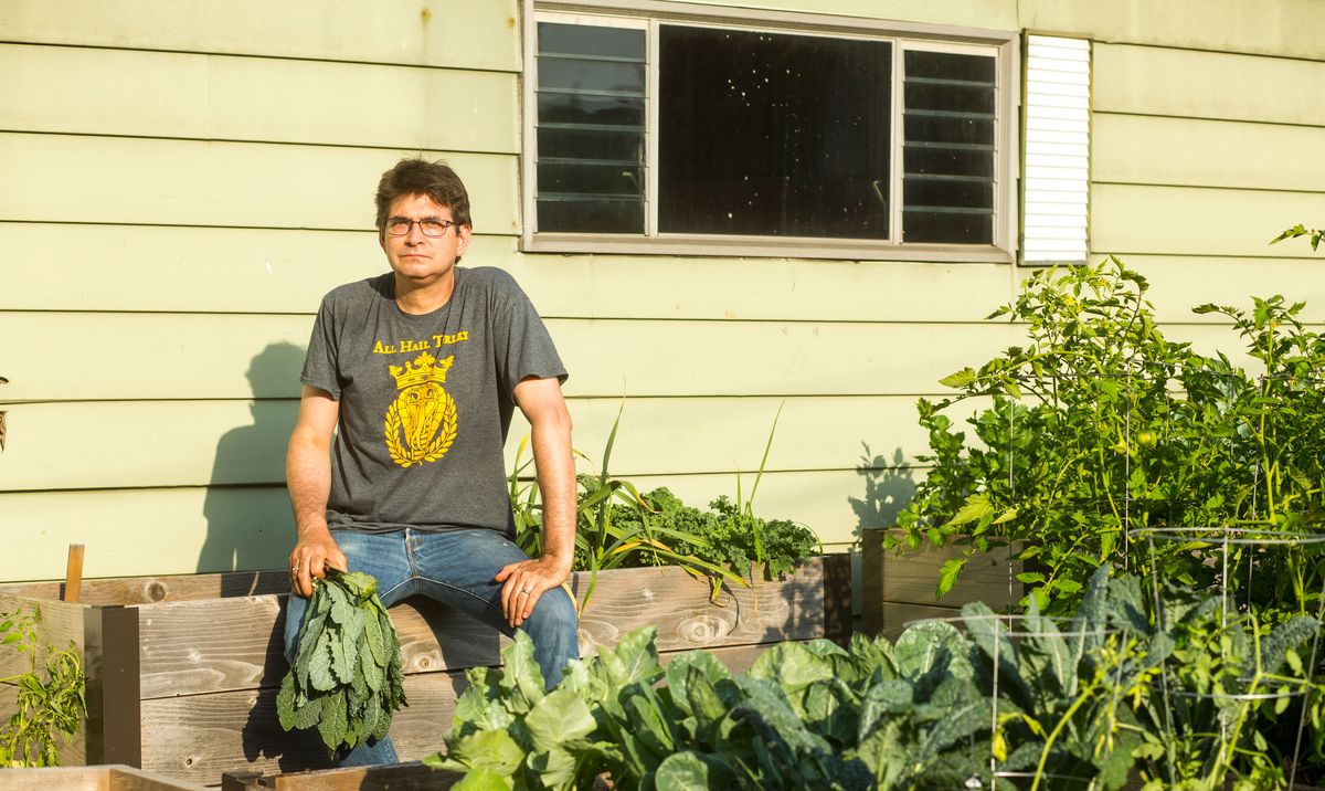 Steve Albini with kale he just harvested from his backyard garden at his Lincoln Square home on July 3, 2018. (Brittany Sowacke for New York Magazine)