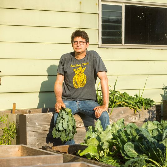 斯蒂夫阿尔比尼甘蓝刚从院子花园采伐 林肯广场家2018年7月3日布里塔尼苏瓦克纽约杂志