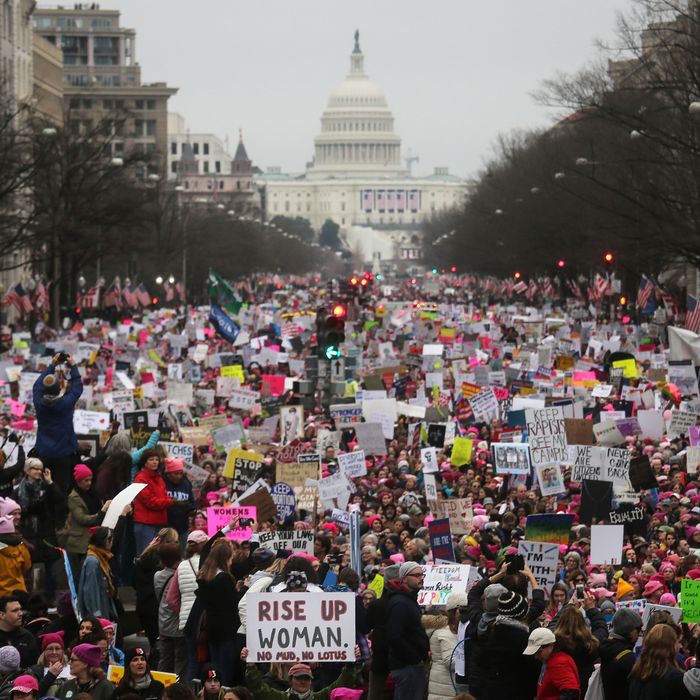 A Scene From the D.C. Women’s March