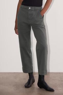 Everlane The Utility Straight-Leg Pant