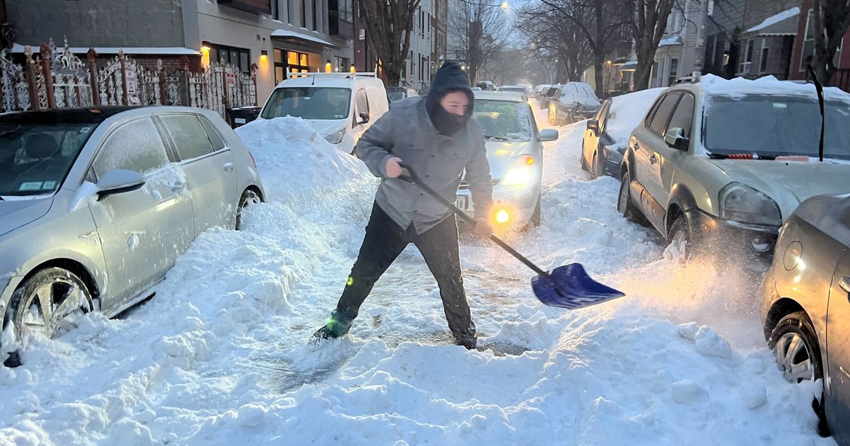 The Dig-Out King of New York City