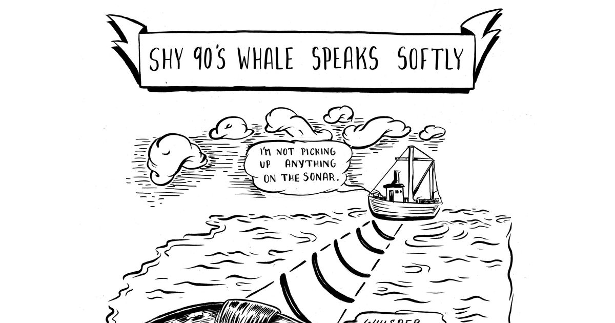 Meet the Most Emo Whale in the Sea