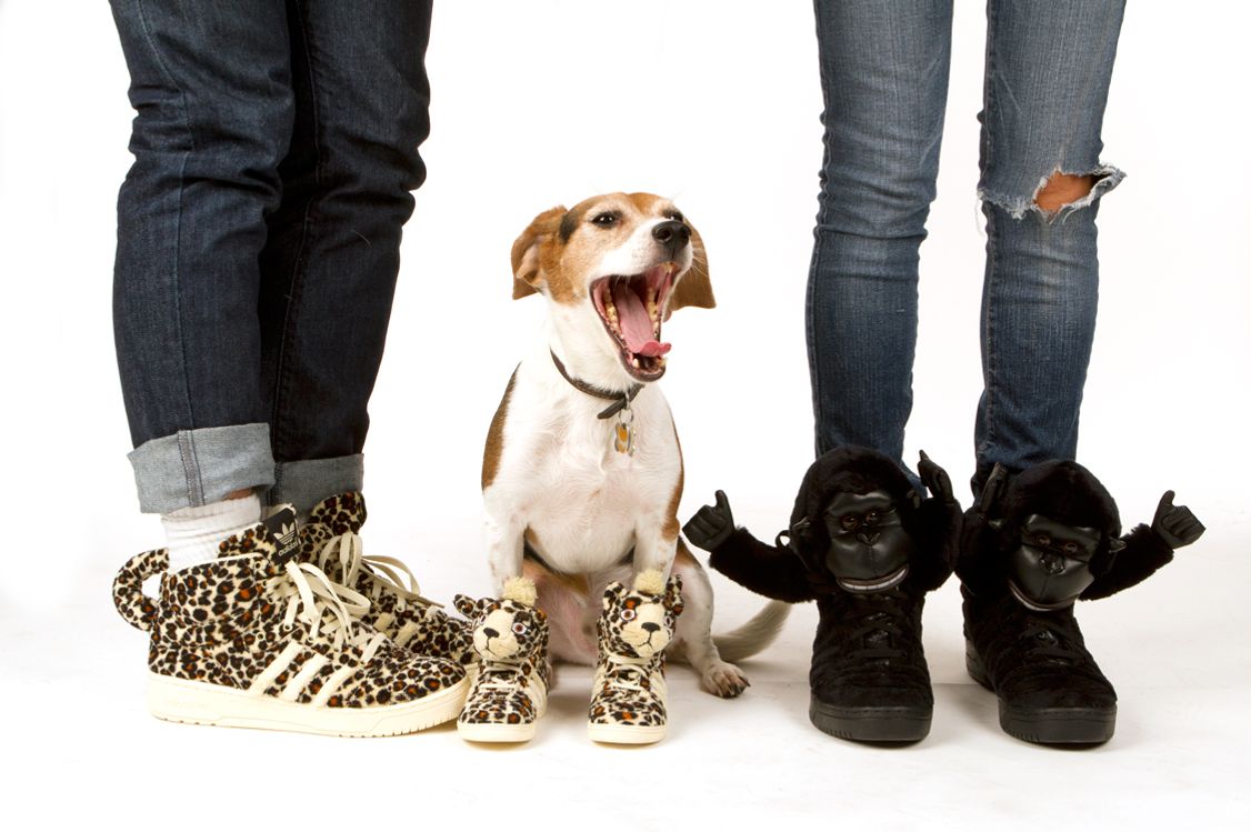Line of Adidas Sneakers Aren't for Your Dog to Wear