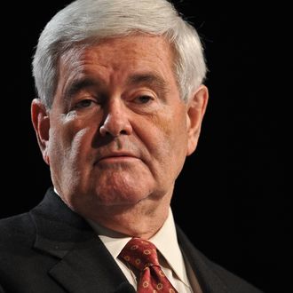 US Republican presidential hopeful former House Speaker Newt Gingrich addresses the Family Research Council's Values Voter Summit in Washington on October 7, 2011. AFP PHOTO/Nicholas KAMM (Photo credit should read NICHOLAS KAMM/AFP/Getty Images)