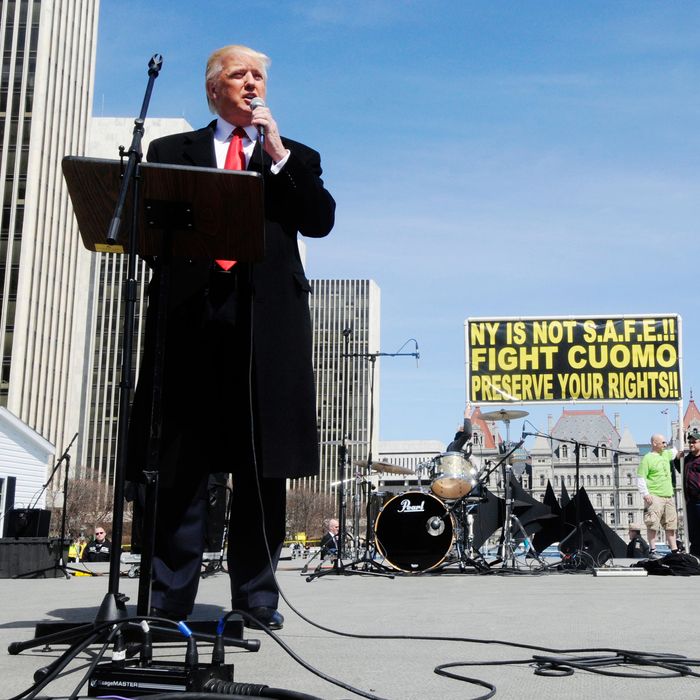 Donald Trump speaks during a pro-gun rally at the Empire State Plaza in Albany