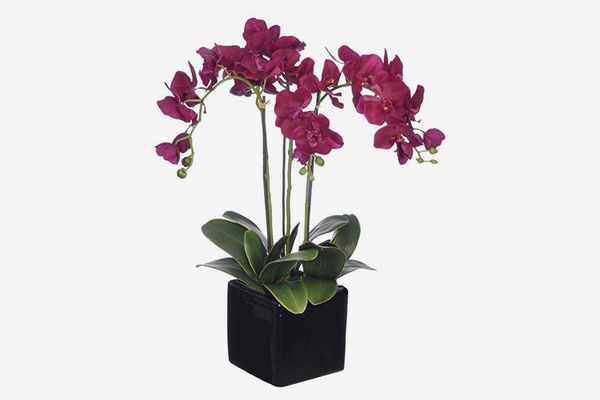 House of Silk Flowers Artificial Dark Purple Triple-Stem Phalaenopsis Orchid Arrangement