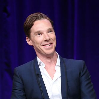 PASADENA, CA - JANUARY 20: Actor Benedict Cumberbatch speaks onstage during the 'Masterpiece/Sherlock, Season 3' panel discussion at the PBS portion of the 2014 Winter Television Critics Association tour at Langham Hotel on January 20, 2014 in Pasadena, California. (Photo by Frederick M. Brown/Getty Images)