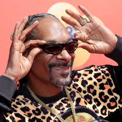 Snoop Dogg Not Giving Up Smoke, Becomes Firepit Ambassador
