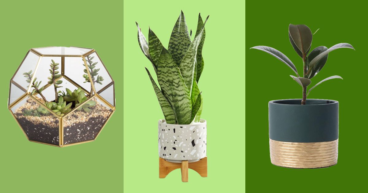 46 Best Pots and Planters on Amazon 2023 | The Strategist