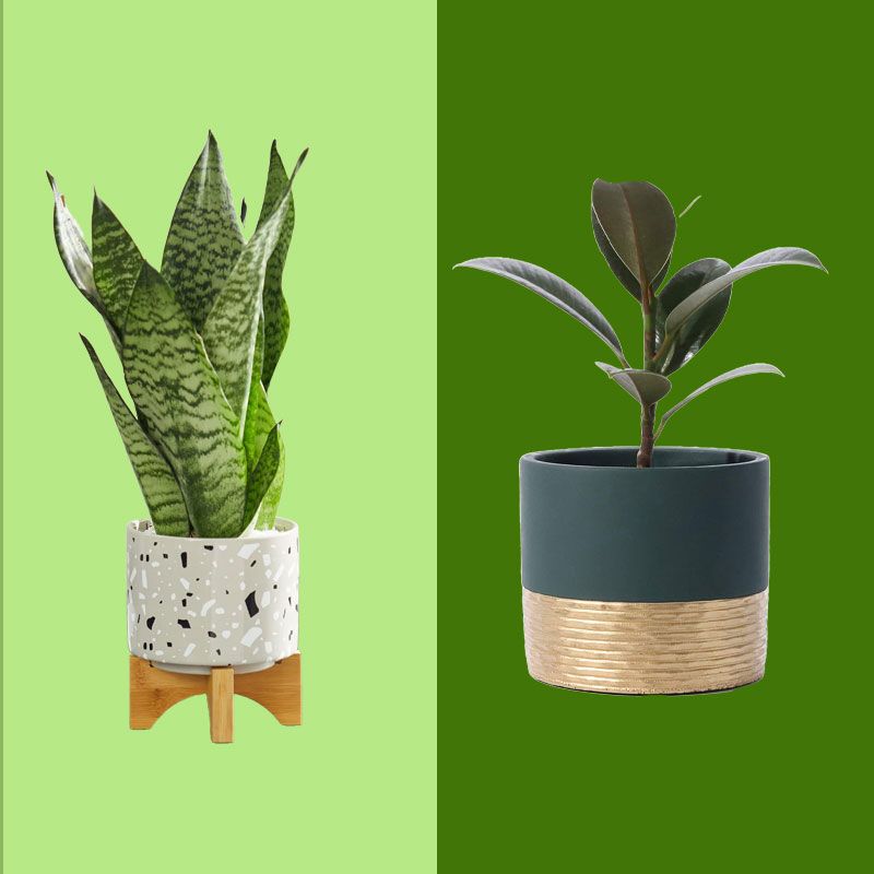 46 Best Pots and Planters on Amazon 2023 | The Strategist