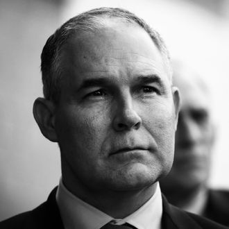 Scott Pruitt.