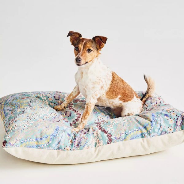 The Foggy Dog x Anthropologie Lacey Dog Bed