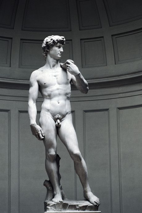 Did you know why did michelangelo make the marble sculpture david naked