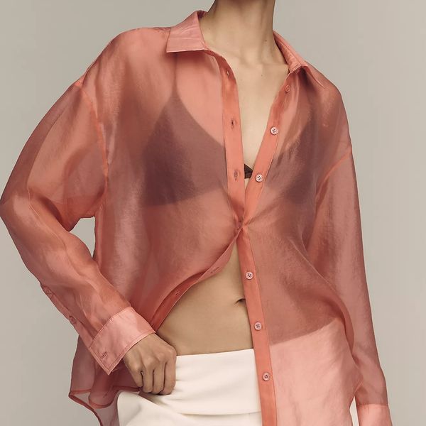 By Anthropologie Sheer Long-Sleeve Buttondown