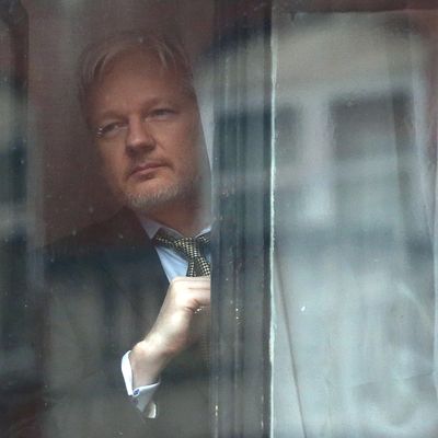 WikiLeaks' Money Trail: How It's Raising Money for Snowden & Assange